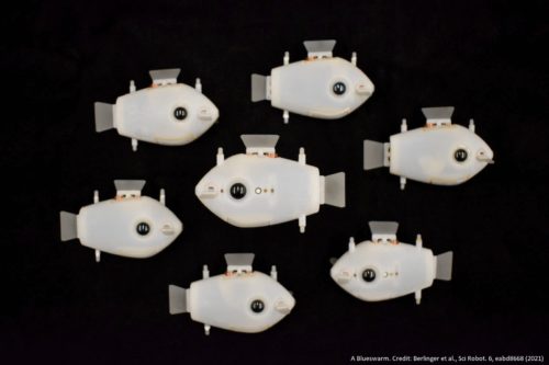 指示がなくても自律的に群れを作って行動する魚型ロボット Bluebot ハーバード大学 エピネシス